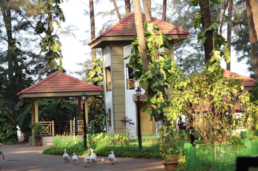 Golden Swan Beach Resort Murūd Kültér fotó